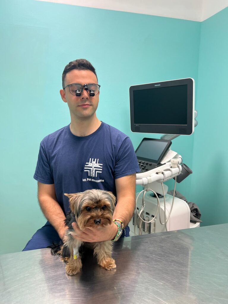 veterinario al lavoro con l'utilizzo di occhiali ingrandenti